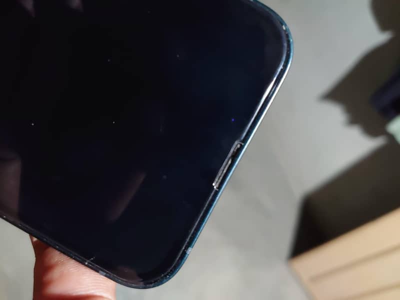 Apple iPhone 13 0