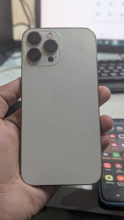 Apple iPhone 13 Pro Max