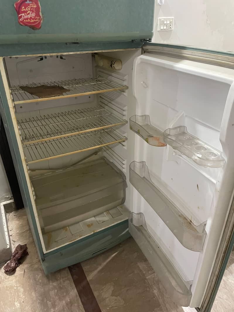 Pel Fridge 1