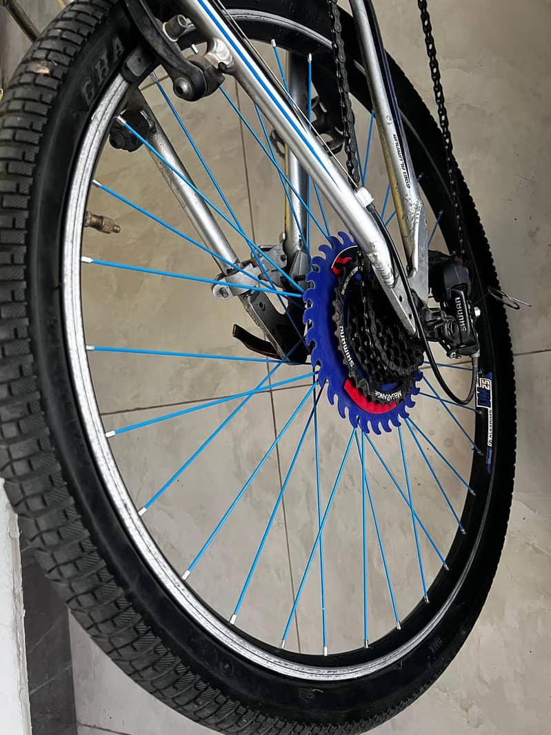 Bicycle ( imported) 2