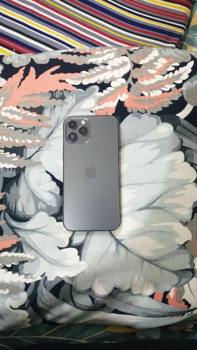 Apple iPhone 12 Pro Max 10