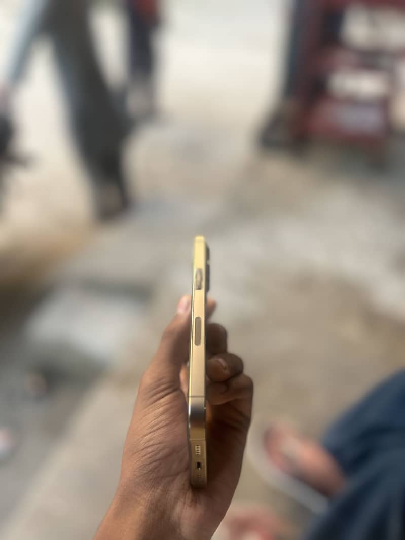 13 pro 2