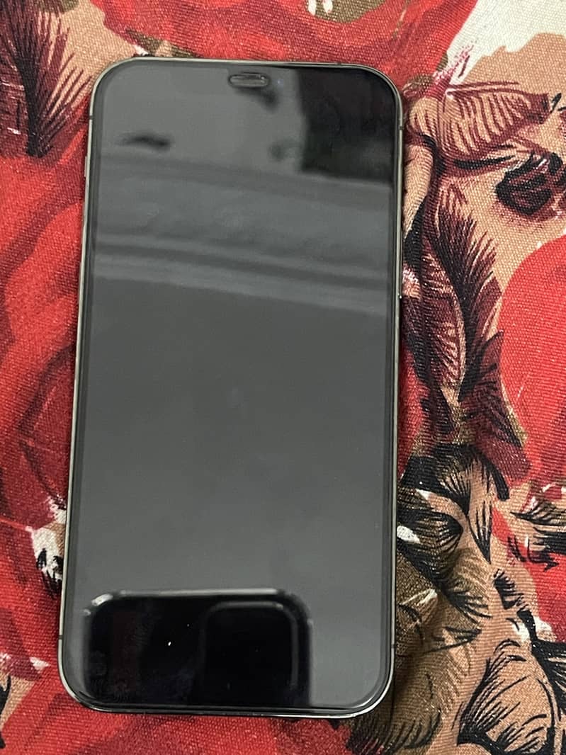 iPhone 12 Pro 2