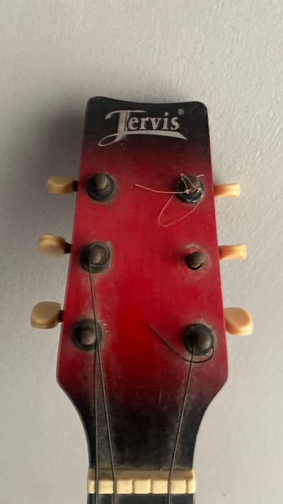 tervis guitar for sale with stand