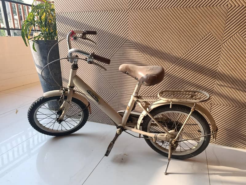 Bicylce 1