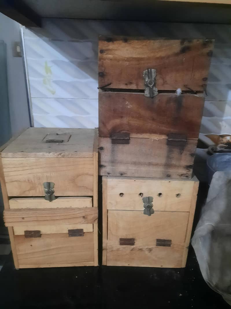 cages and breading box. . 2