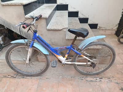 Teen bicycle