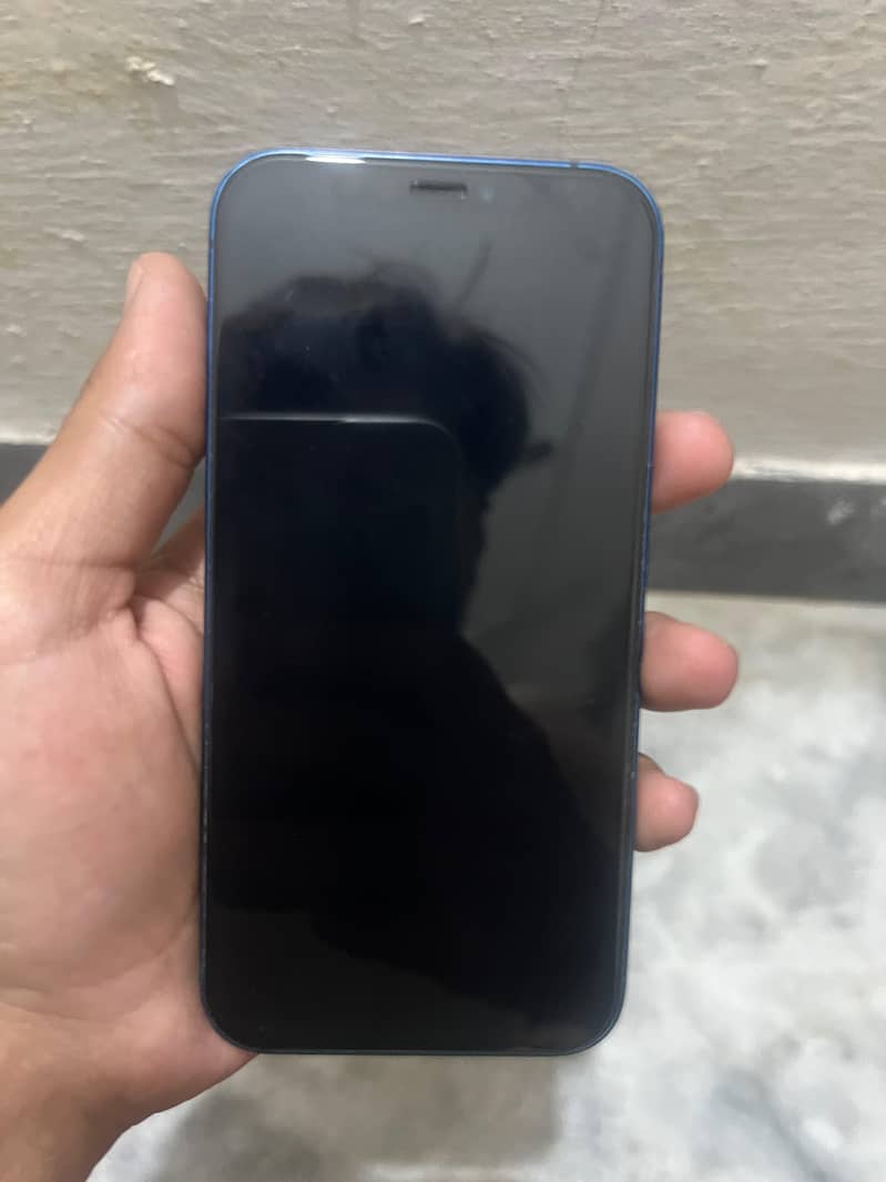 Apple iPhone 12 1