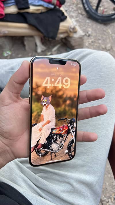 Apple iPhone 13 Pro Max Non PTA