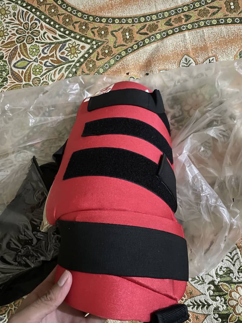 Cricket kit 6