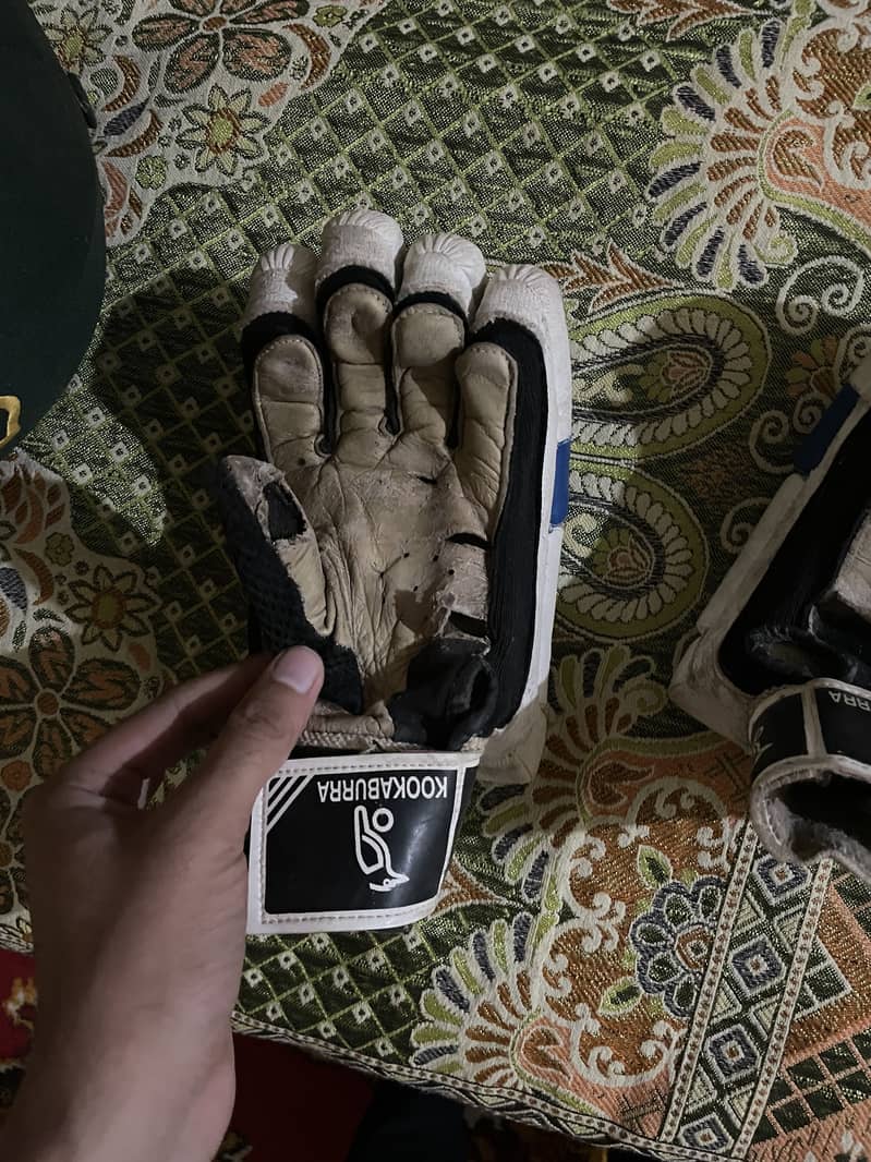 Cricket kit 7