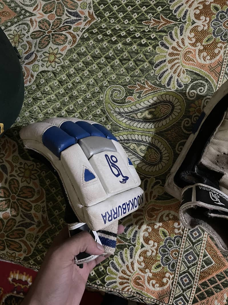 Cricket kit 8