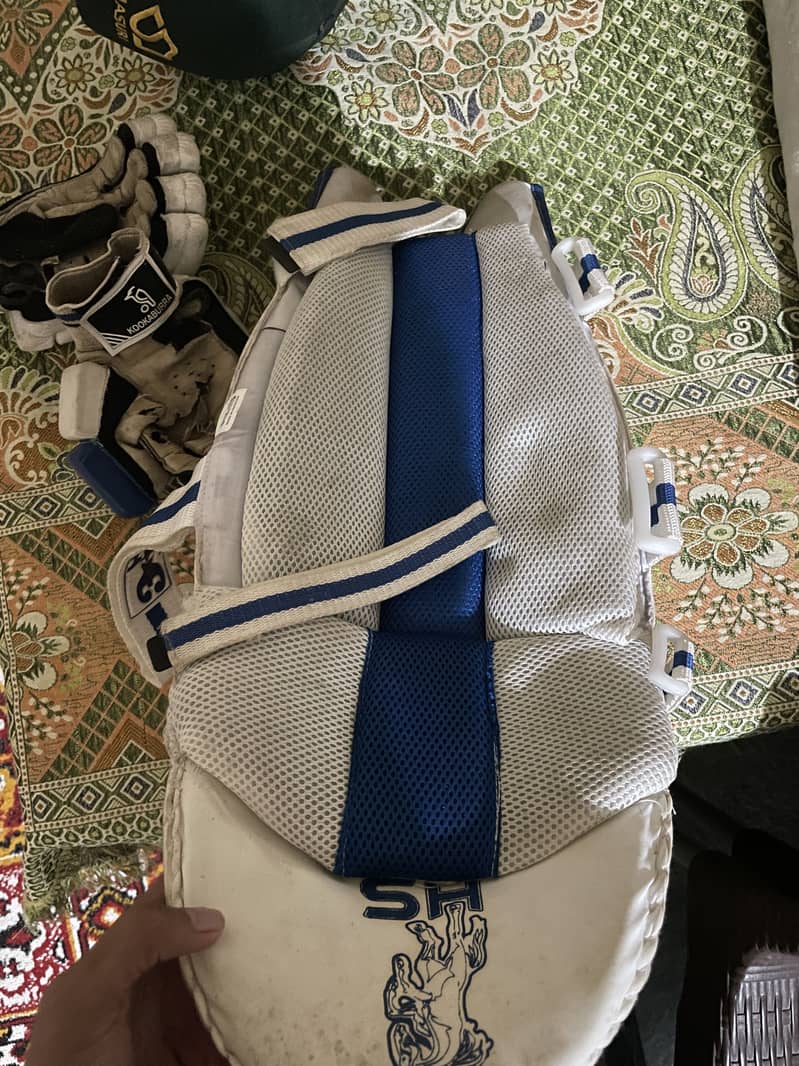 Cricket kit 9