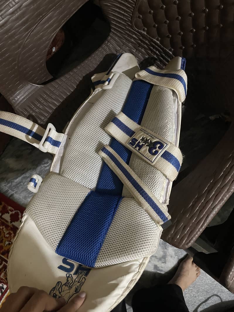 Cricket kit 10