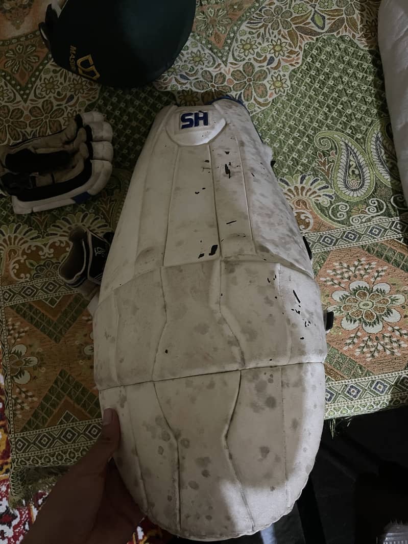Cricket kit 11