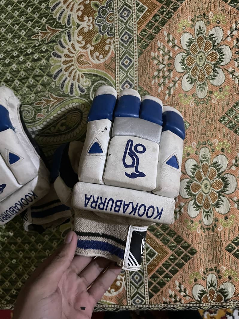 Cricket kit 12