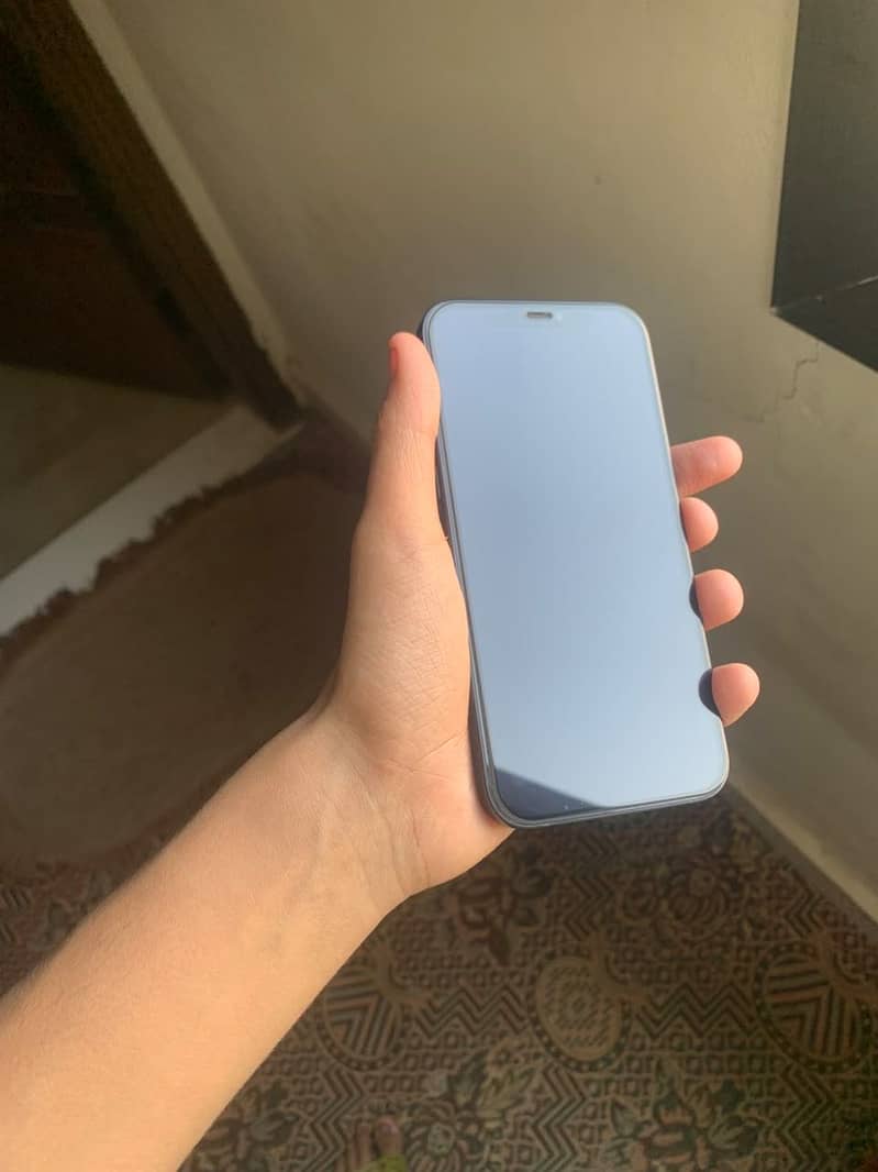 Apple iPhone 12 0