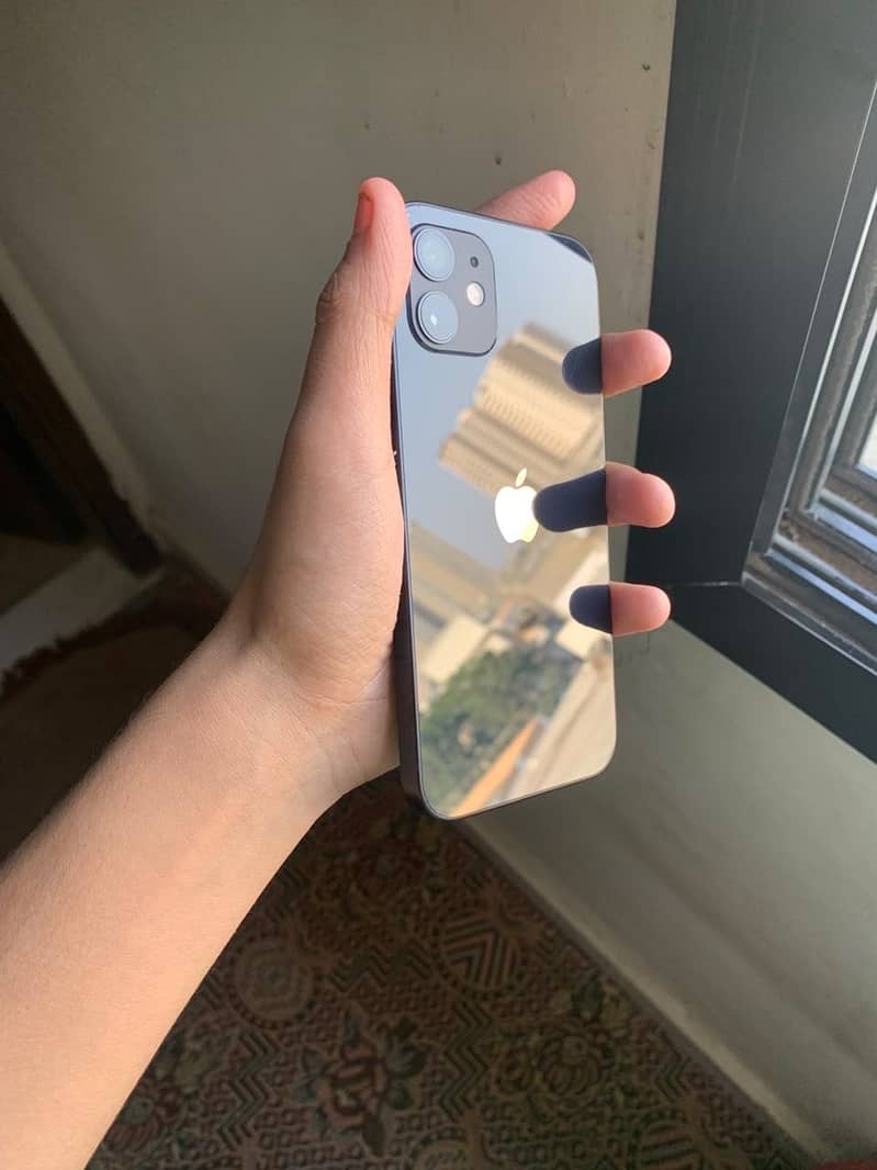 Apple iPhone 12 13