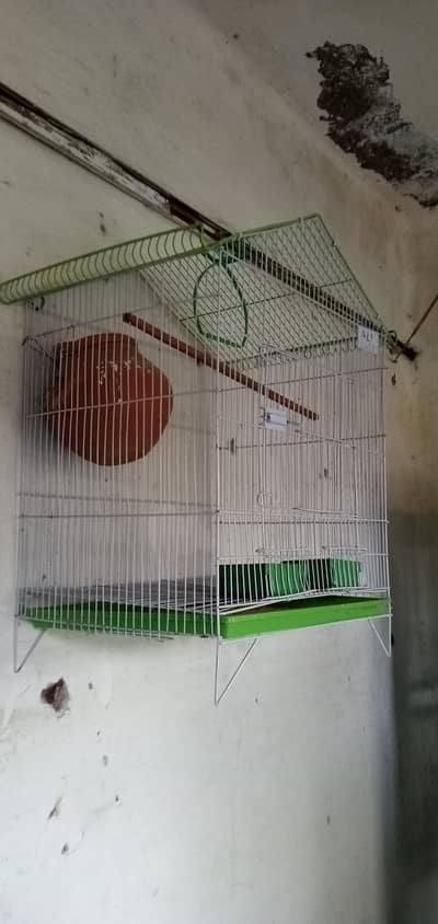 Bird Cage Far sale
