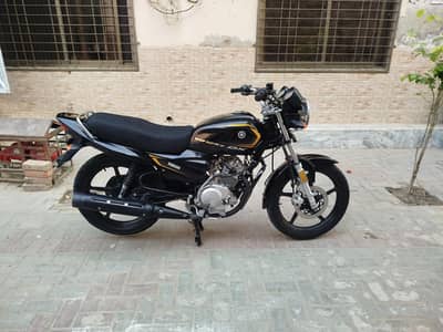 Yamaha Yb125Z Dx 2025/26 Model Lush Condition Urgent Sale