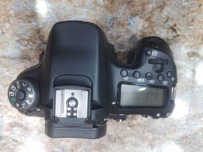 canon 70d body