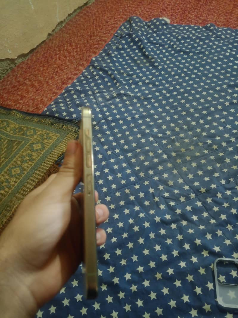 Apple iPhone 13 Pro Max 1