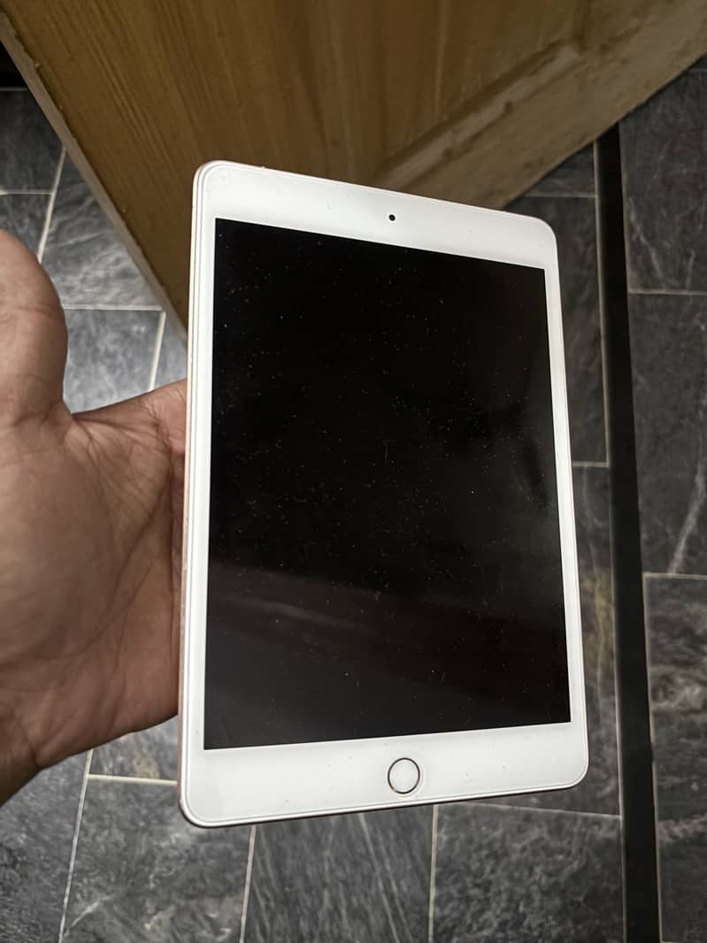 iPad mini 5 1