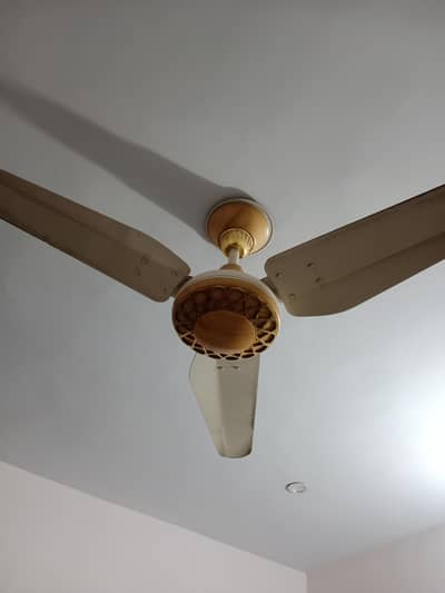 super asia 220 volt fans