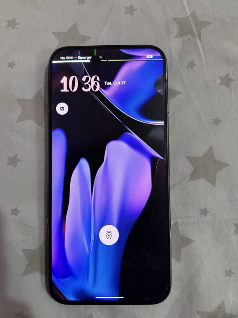 Google Pixel 9 Pro XL 6