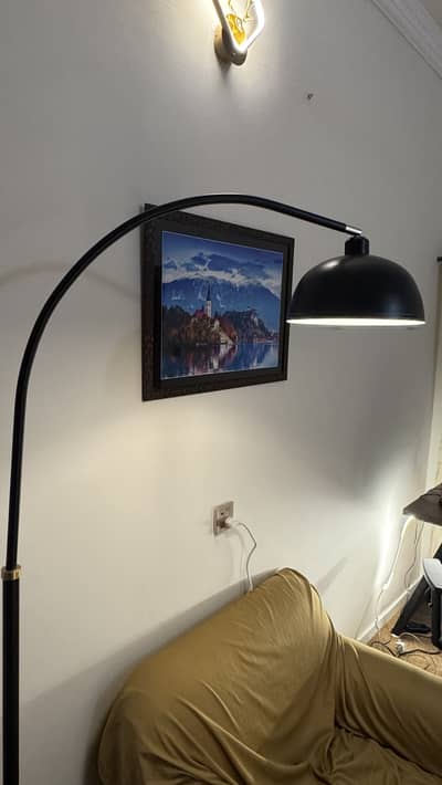 Brand New Arched Floor Lamp for Sale (Black Color)