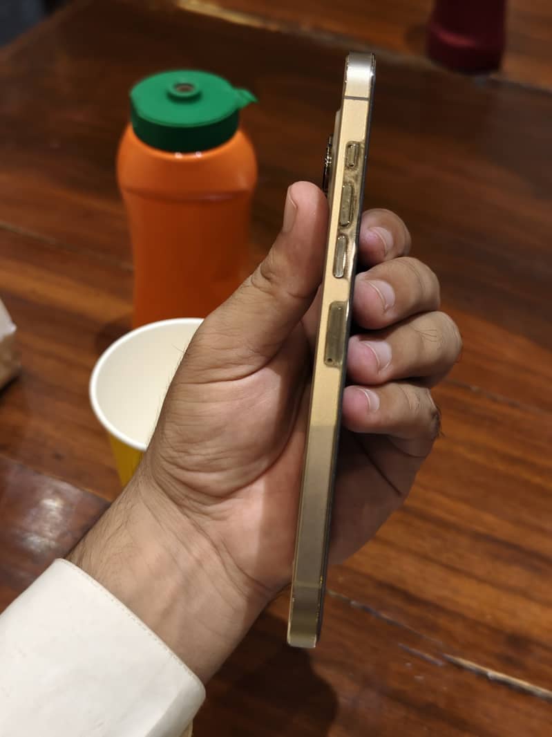 Apple iPhone 13 Pro Max 1