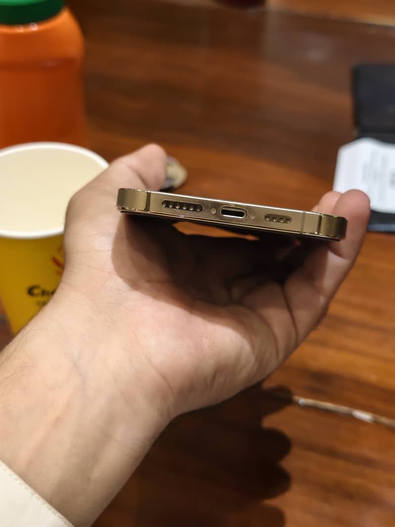 Apple iPhone 13 Pro Max 3