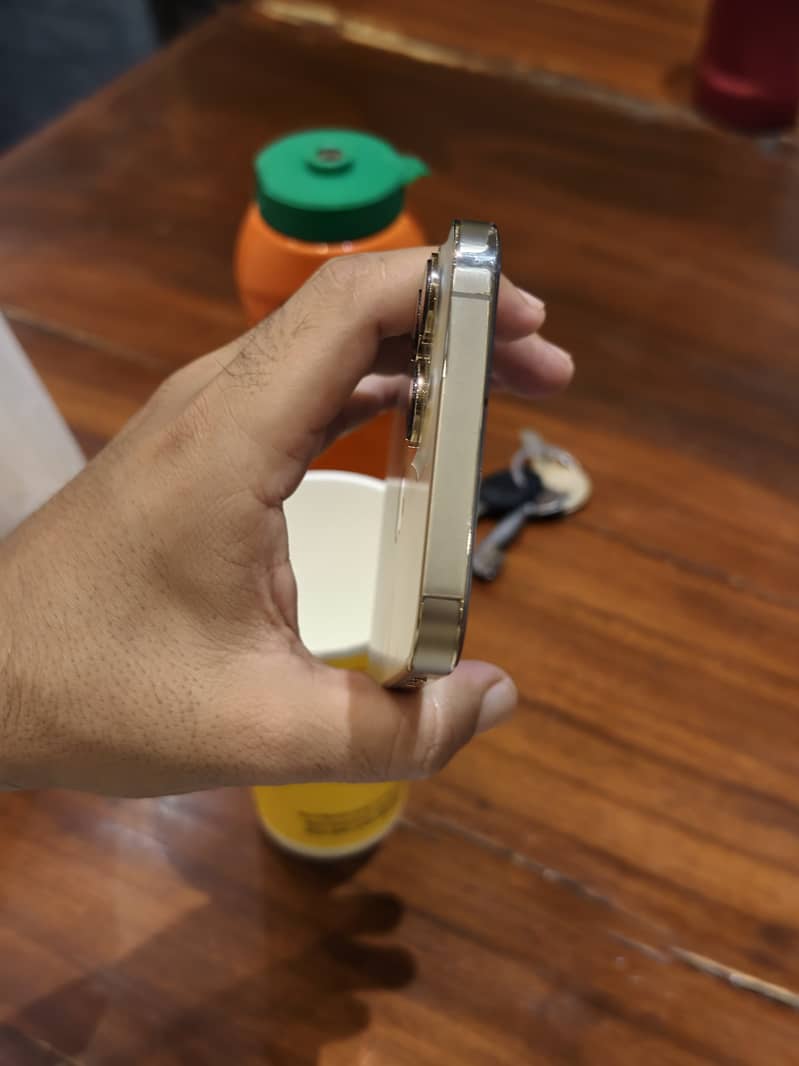 Apple iPhone 13 Pro Max 5