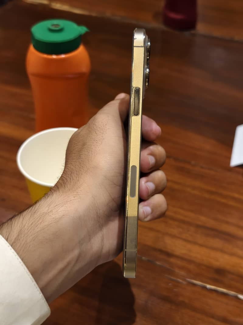 Apple iPhone 13 Pro Max 6