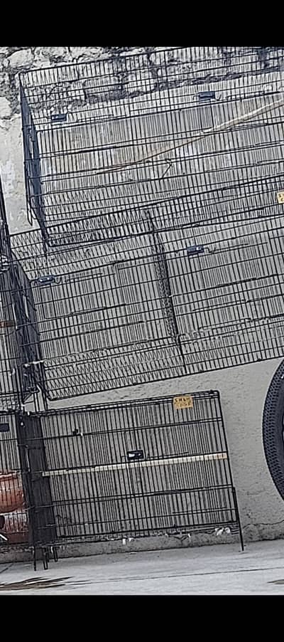 Birds cage