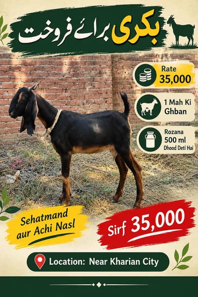 Desi bakri