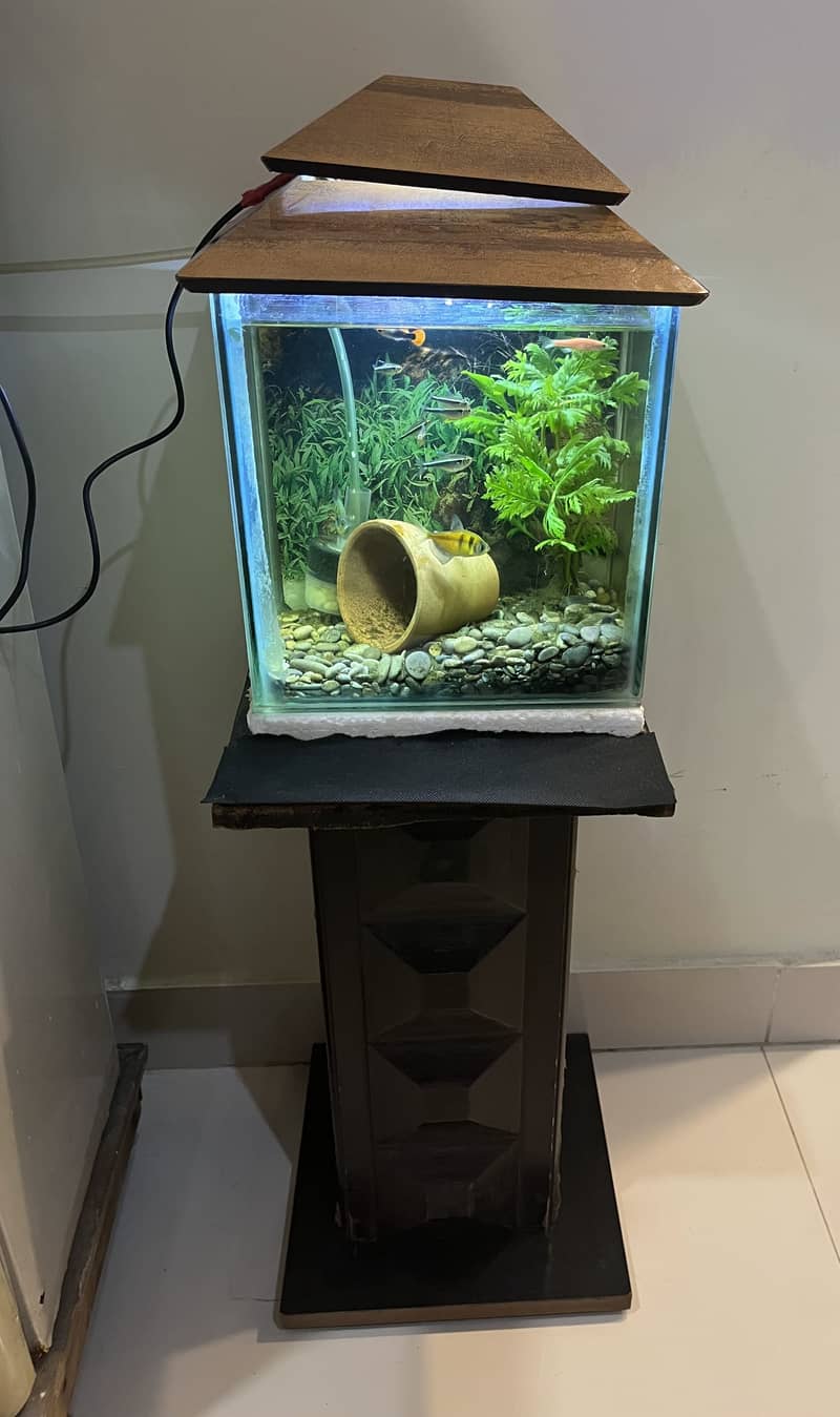 Small Aquarium Set 0