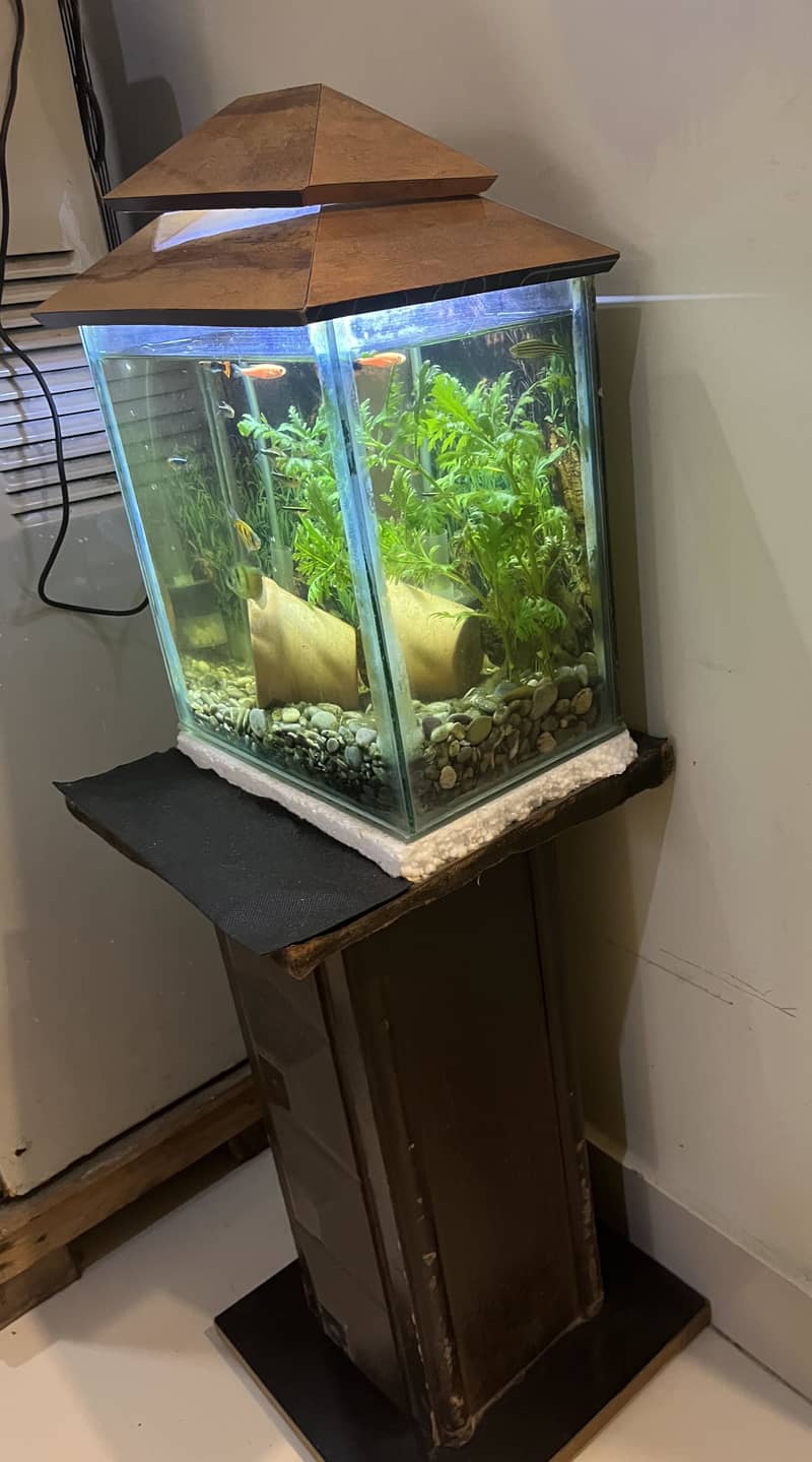 Small Aquarium Set 2