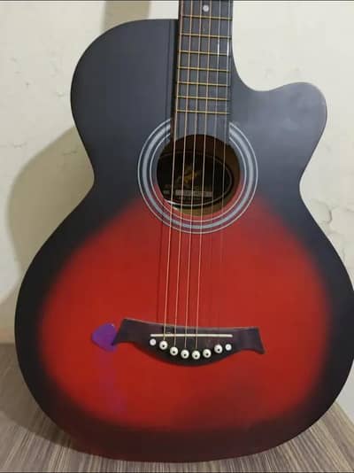 Professional Beginner Guitar