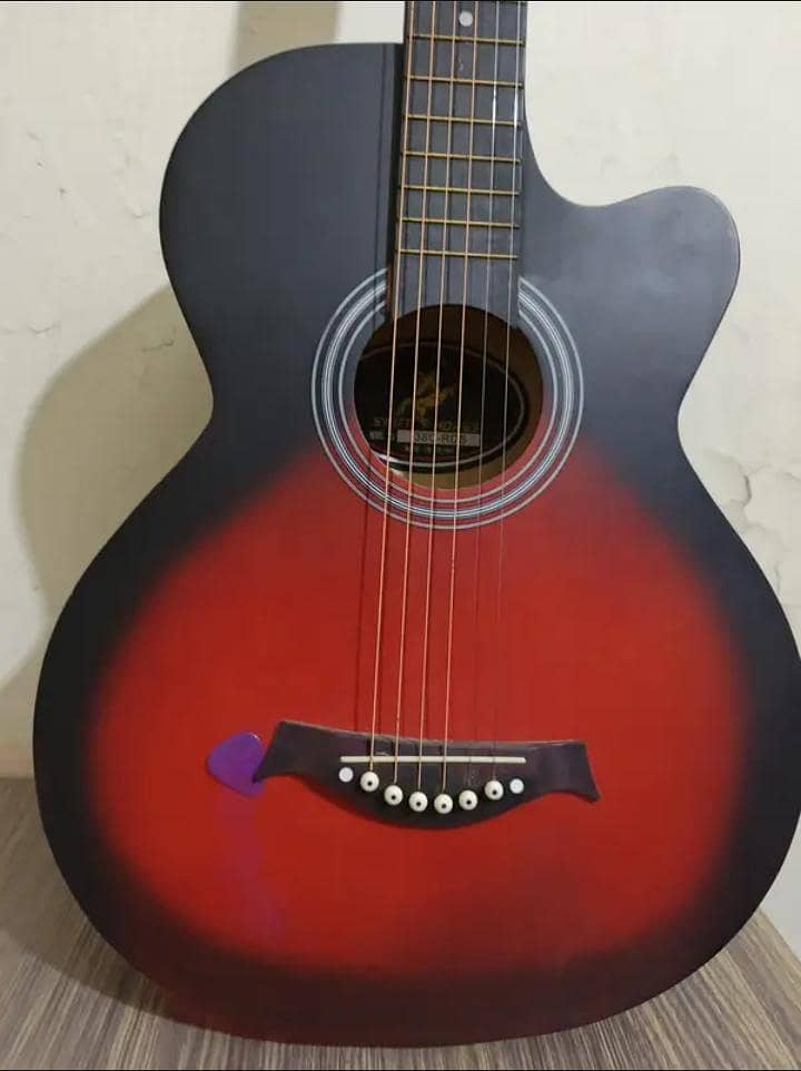 Professional Beginner Guitar 0