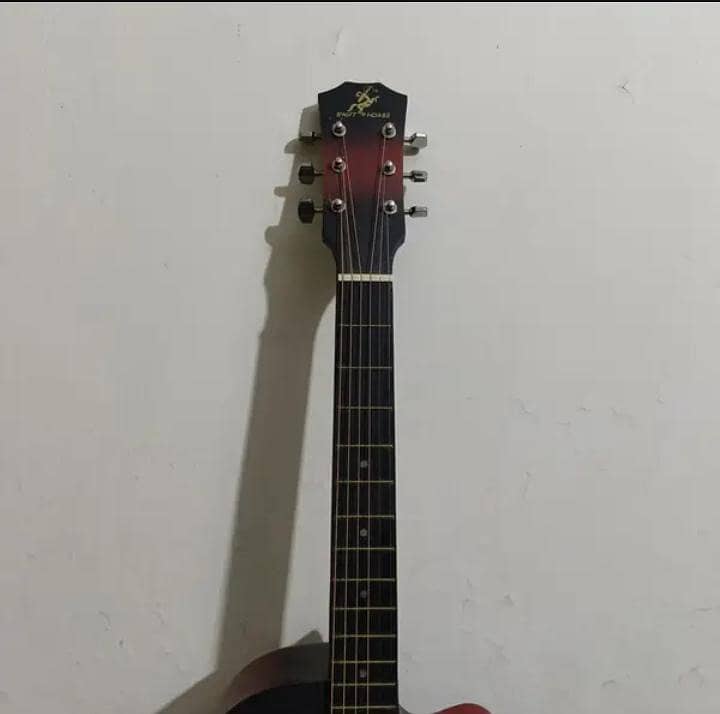 Professional Beginner Guitar 1