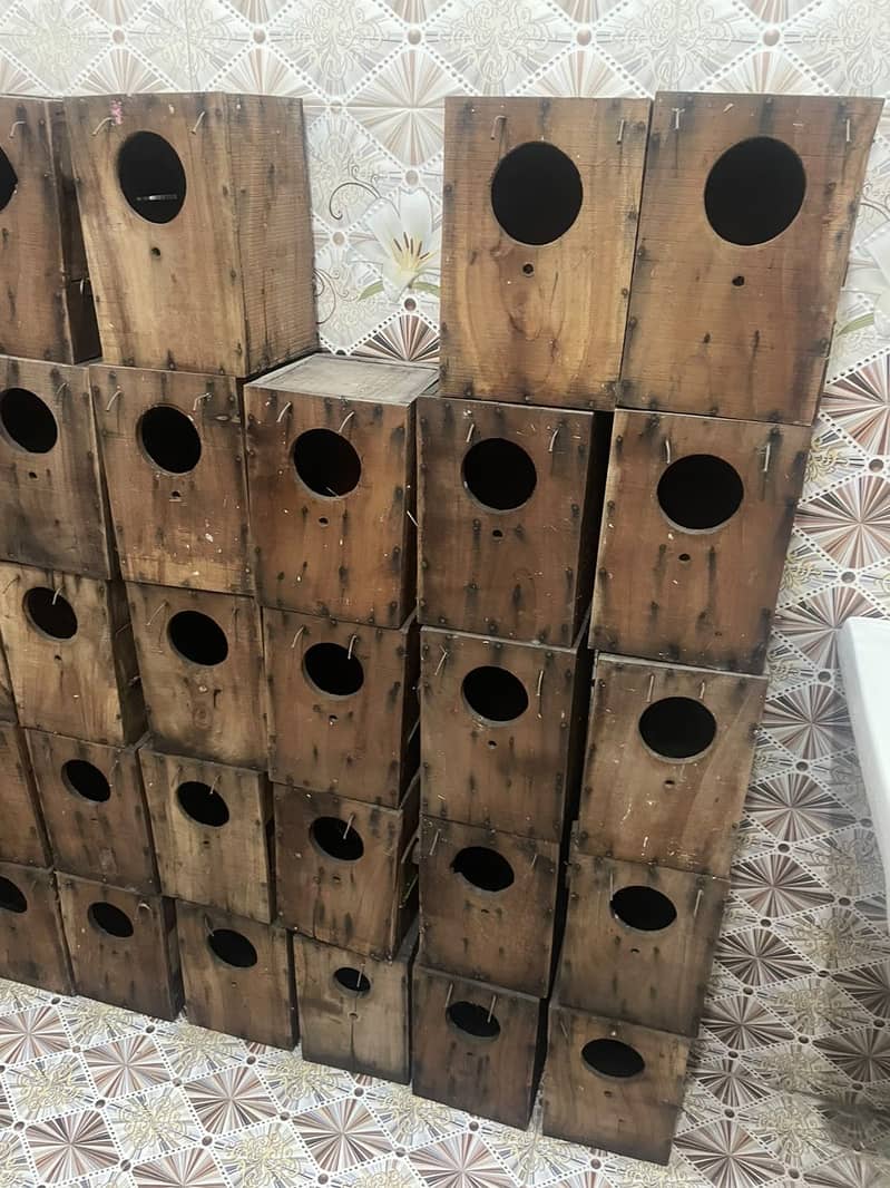 Bird box 0