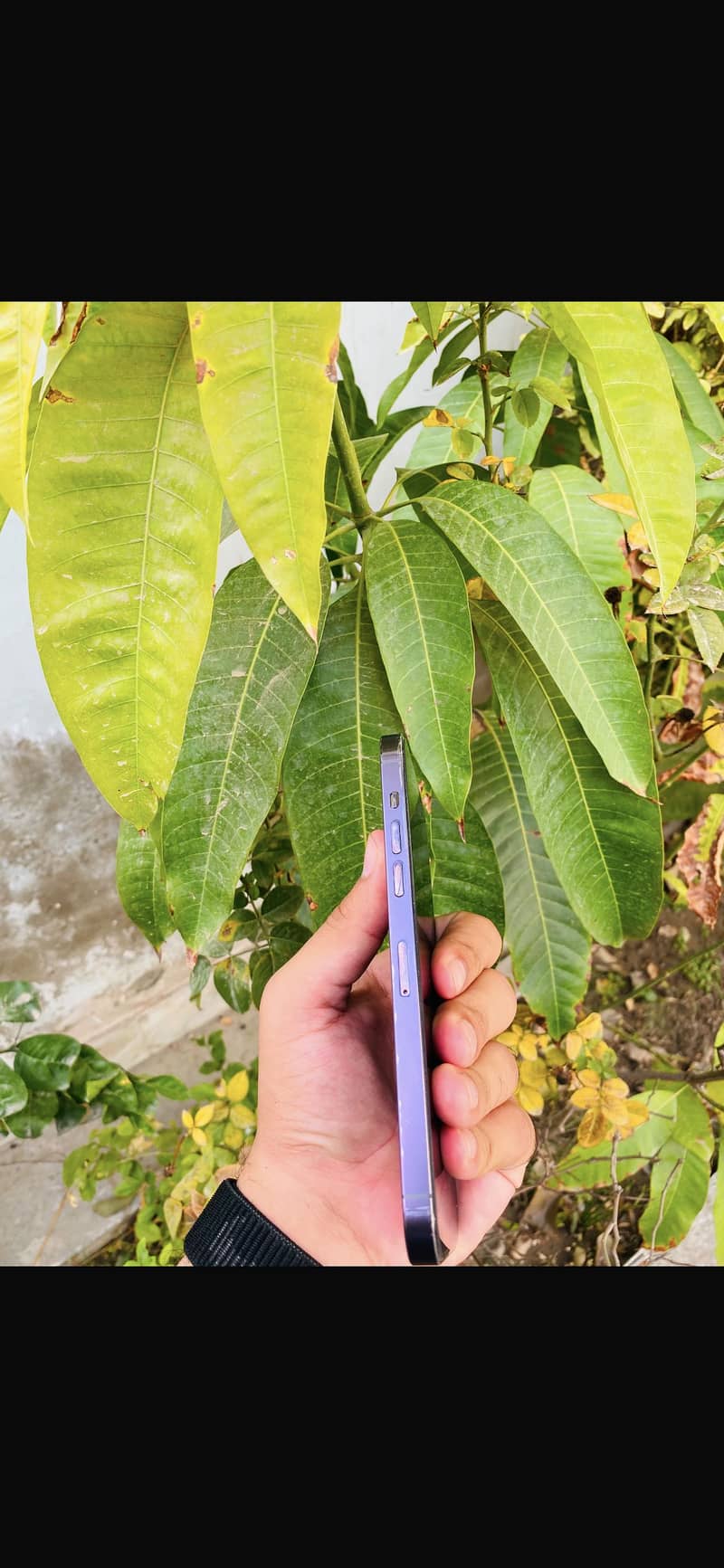 Apple iPhone 14 Pro Max 2