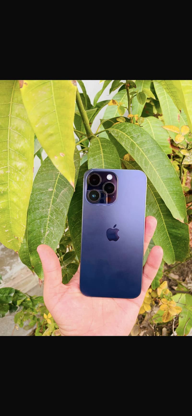Apple iPhone 14 Pro Max 3