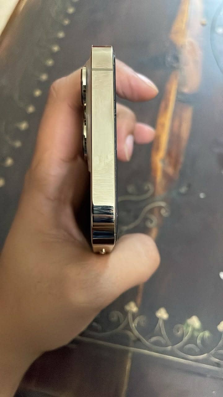Apple iPhone 13 Pro 1