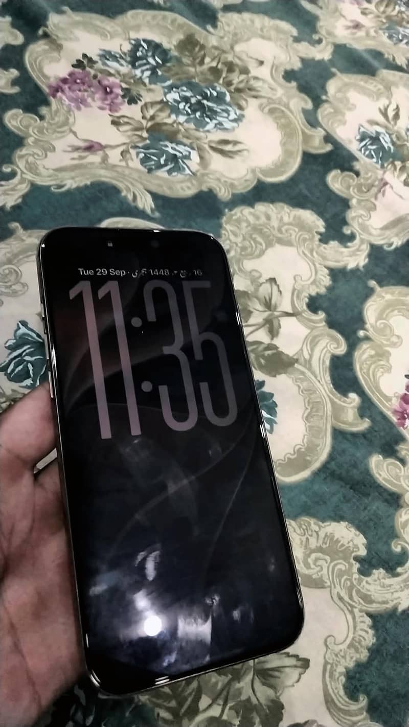 Apple iPhone 16 Pro Max 1