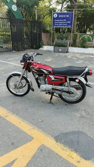 best bike ha 03264098089