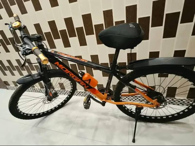 Morgan Bicycle 1