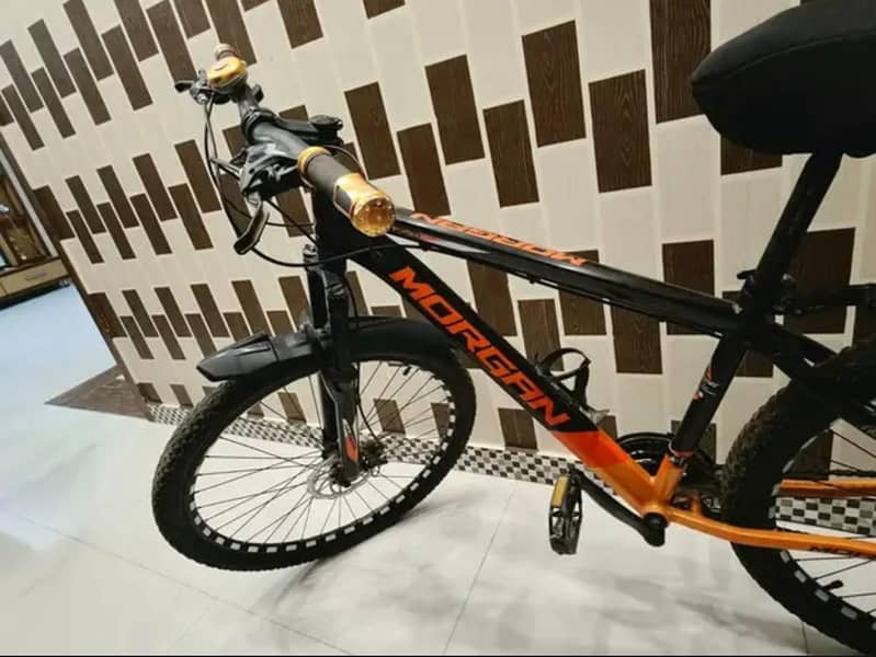Morgan Bicycle 2