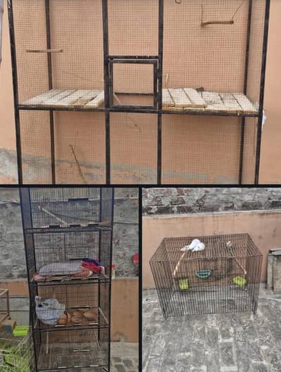 used iron cages for birds